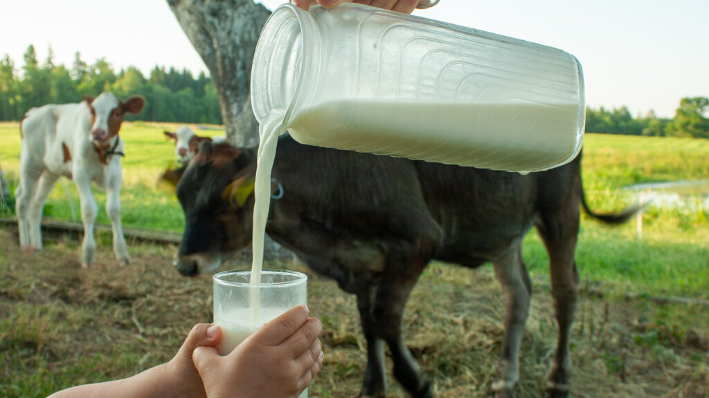 Fresh Milk Al Baraha
