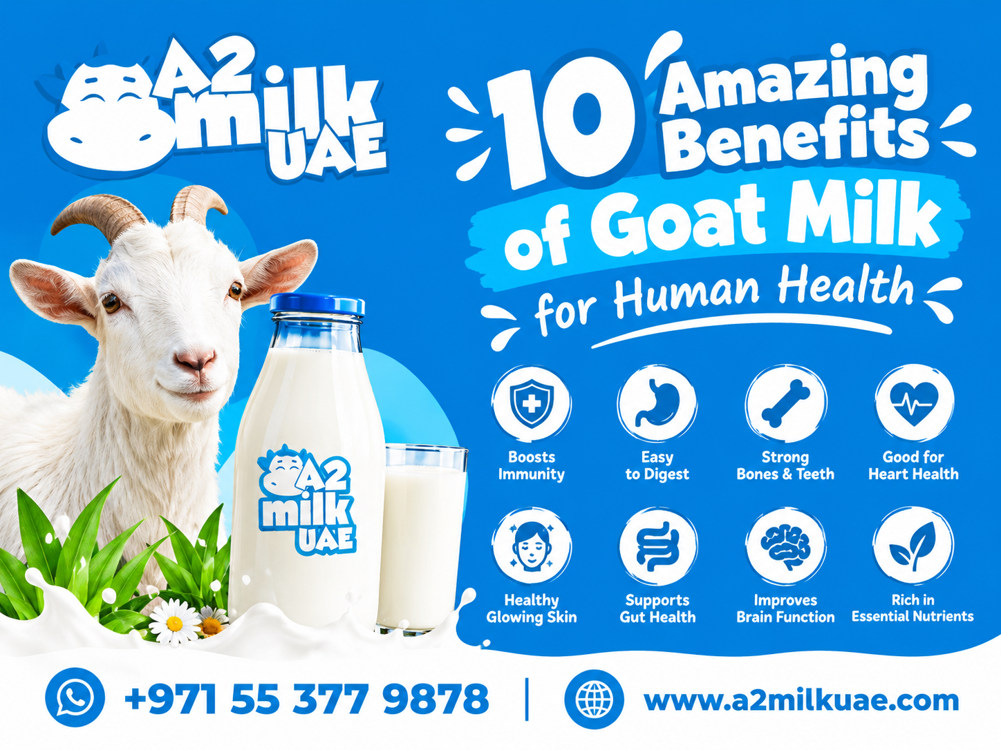 10 Amazing Benefits of Goat Milk for Human Health